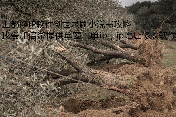 王都换IP软件创世录刷小说书攻略技巧分享