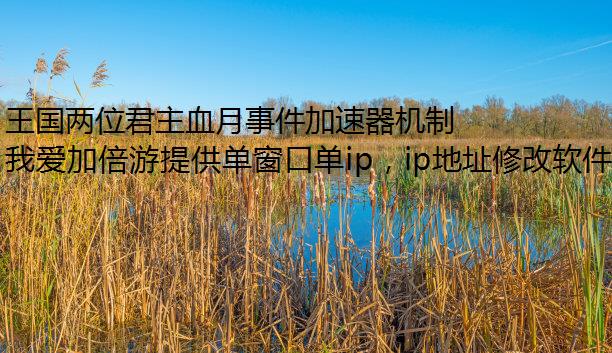 王国两位君主血月事件加速器机制详解