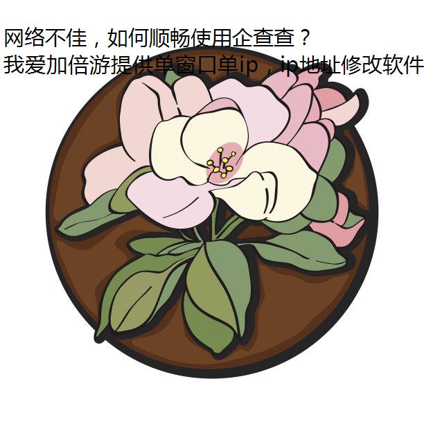 网络不佳，如何顺畅使用企查查？