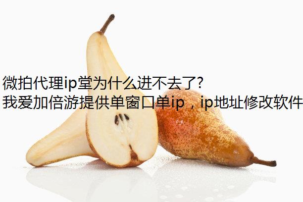 微拍代理ip堂为什么进不去了?