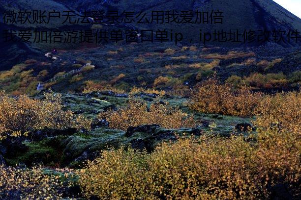 微软账户无法登录怎么用我爱加倍游解决进程包机