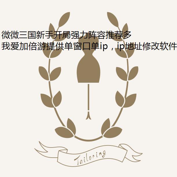 微微三国新手开局强力阵容推荐多开限制ip