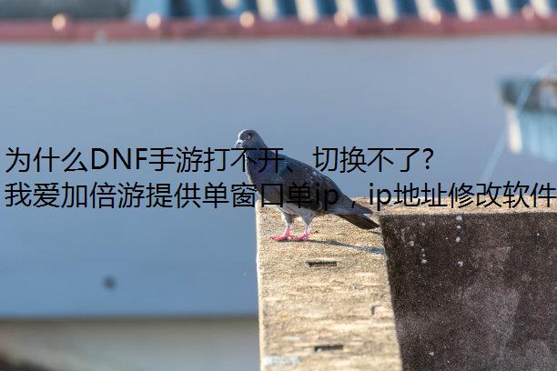 为什么DNF手游打不开、切换不了频道?怎么雷电模拟器修改IP解决?