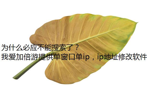 为什么必应不能搜索了？