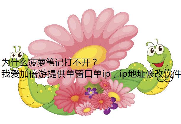 为什么菠萝笔记打不开？