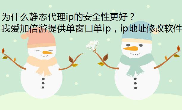 为什么静态代理ip的安全性更好？