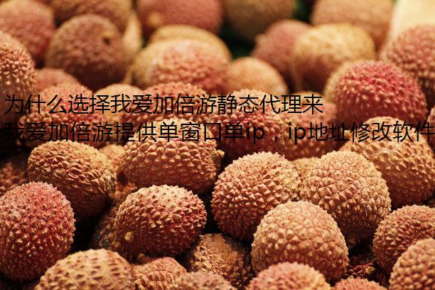 为什么选择我爱加倍游静态代理来切换云南 IP 地址？