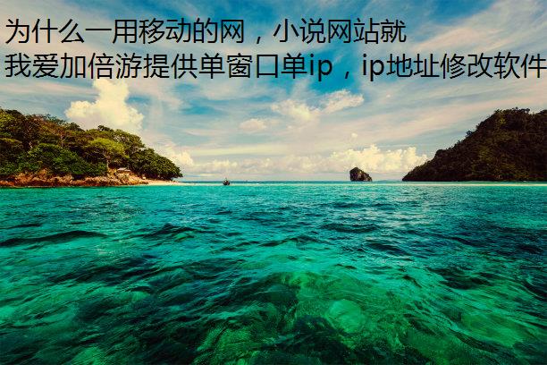 为什么一用移动的网，小说网站就进不去？