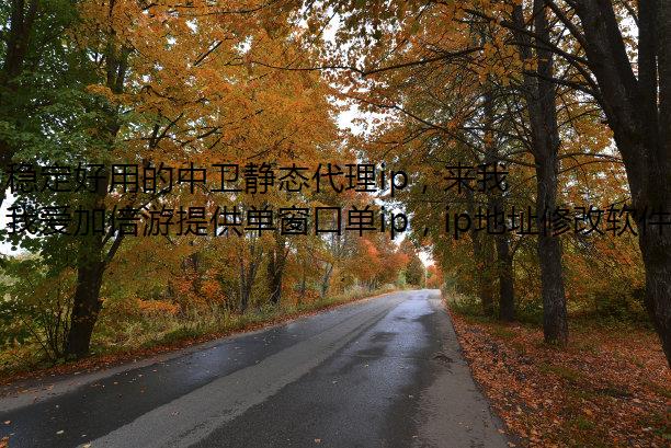稳定好用的中卫静态代理ip，来我爱加倍游连接！