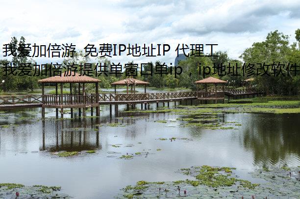 我爱加倍游 免费IP地址IP 代理工具的多方面用途