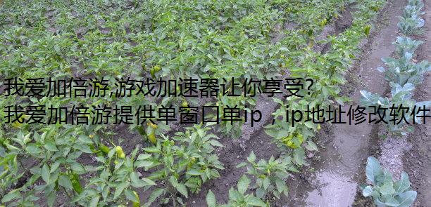 我爱加倍游,游戏加速器让你享受更顺畅的上网体验!