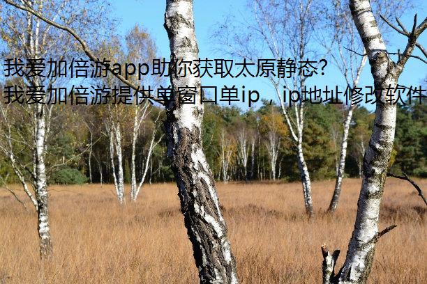 我爱加倍游app助你获取太原静态网络！