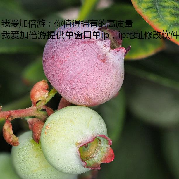 我爱加倍游：你值得拥有的高质量武汉代理 IP