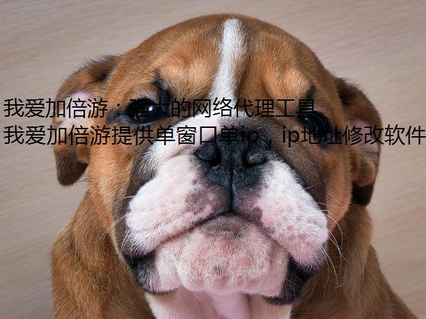我爱加倍游：强大的网络代理工具，防封软件带你我爱加倍游网络新体验