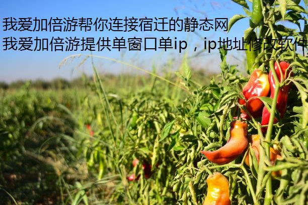 我爱加倍游帮你连接宿迁的静态网络