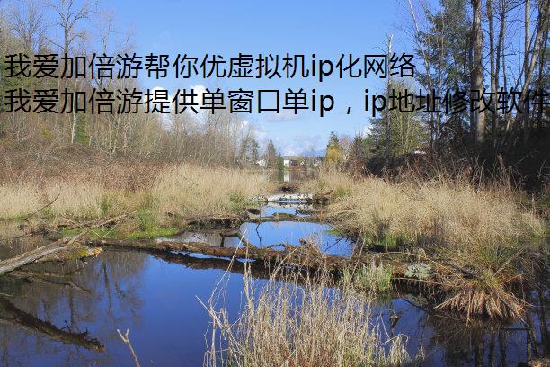 我爱加倍游帮你优虚拟机ip化网络环境,提升网络体验