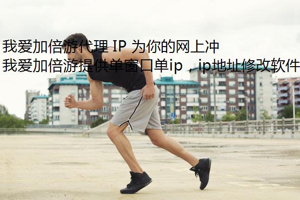 我爱加倍游代理 IP 为你的网上冲浪保驾护航