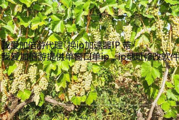 我爱加倍游代理 换ip加速器IP 带你接入安全的庆阳静态网络