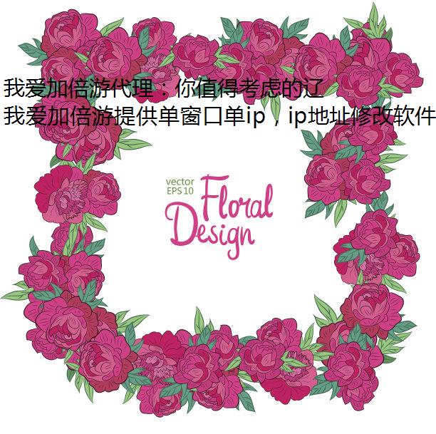 我爱加倍游代理：你值得考虑的辽源代理 IP