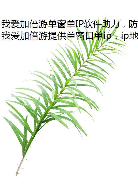 我爱加倍游单窗单IP软件助力，防封软件元气骑士前传高效搬砖！
