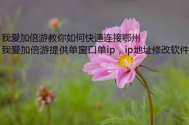 我爱加倍游教你如何快速连接鄂州、襄阳等湖北城市网络