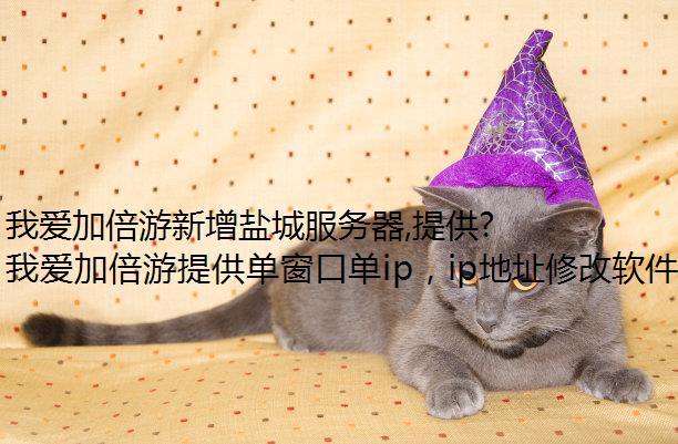 我爱加倍游新增盐城服务器,提供优模拟器ip质盐城静态代理ip!