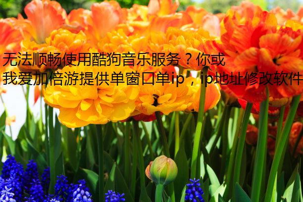 无法顺畅使用酷狗音乐服务？你或许需要我爱加倍游！