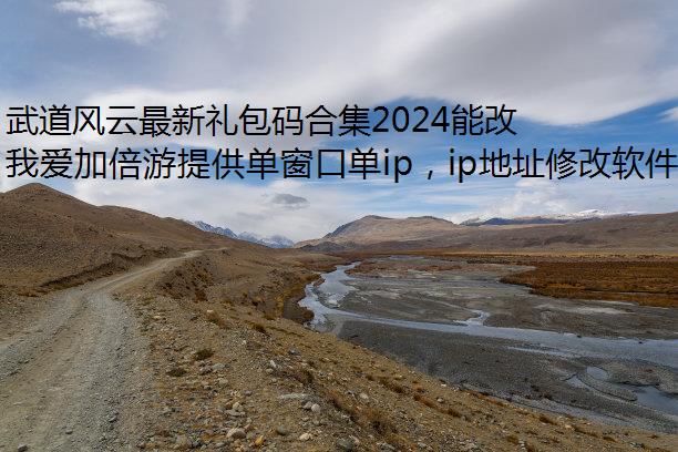 武道风云最新礼包码合集2024能改IP
