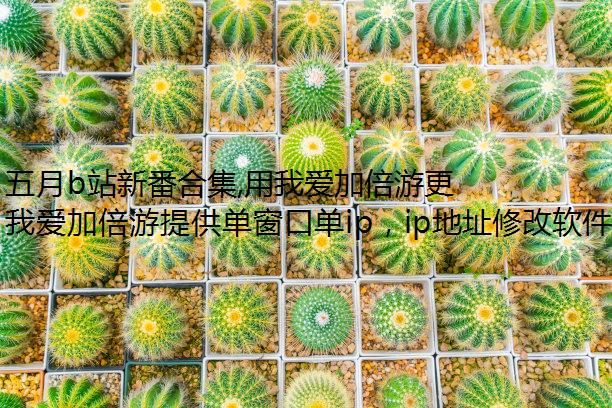 五月b站新番合集,用我爱加倍游更顺畅多开限制ip追中字番!