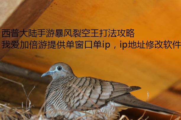 西普大陆手游暴风裂空王打法攻略分享动态ip