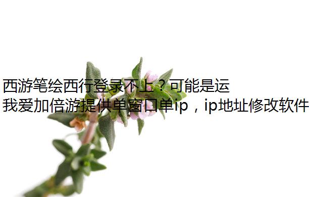 西游笔绘西行登录不上？可能是运营商的问题