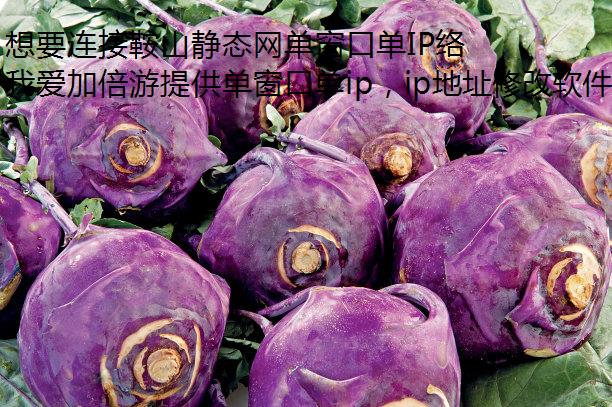 想要连接鞍山静态网单窗口单IP络?我爱加倍游来帮助你