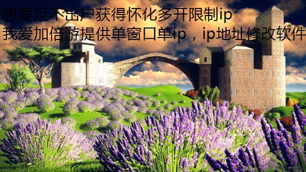 想要足不出户获得怀化多开限制ip IP?我爱加倍游能帮你