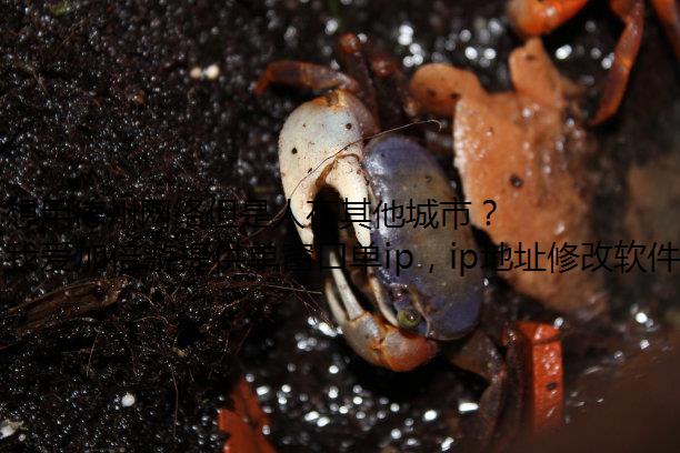 想用德州网络但是人在其他城市？快下载我爱加倍游