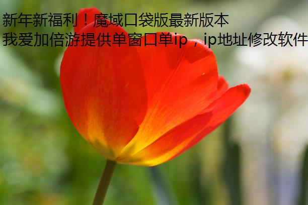新年新福利！魔域口袋版最新版本福利合集！