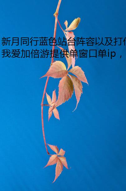 新月同行蓝色站台阵容以及打代理ip法详解