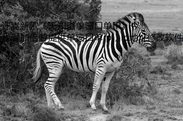 许嵩新歌《天知道单窗口单IP》今日上线啦！海外老粉用我爱加倍游也能畅听无阻