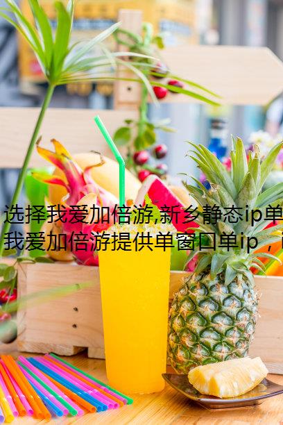 选择我爱加倍游,新乡静态ip单窗口单IP一键切换!