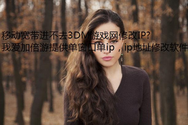 移动宽带进不去3DM游戏网修改IP地址该怎么办?