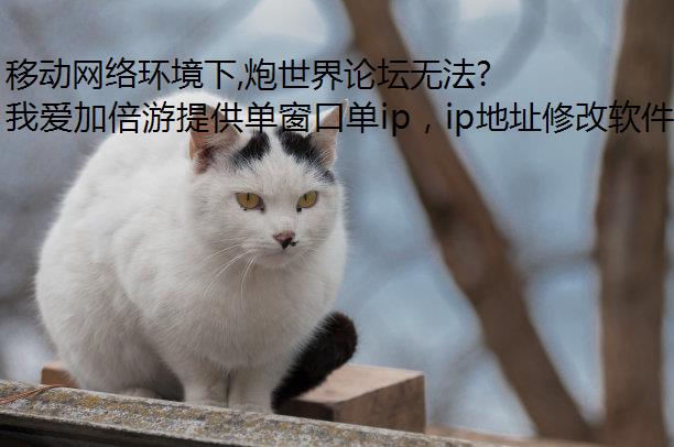 移动网络环境下,炮世界论坛无法访问ip转换器,该如何解决?