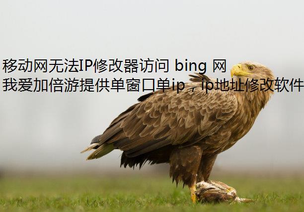 移动网无法IP修改器访问 bing 网站是怎么回事?