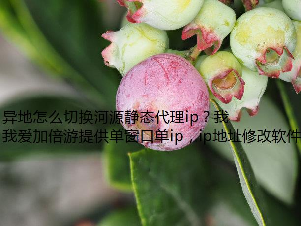 异地怎么切换河源静态代理ip？我爱加倍游来助力！