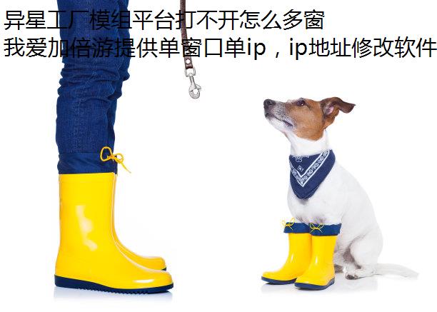 异星工厂模组平台打不开怎么多窗口单ip回事?