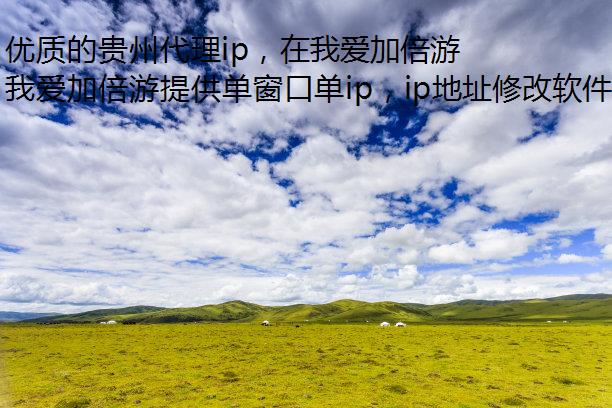 优质的贵州代理ip，在我爱加倍游轻松切换！