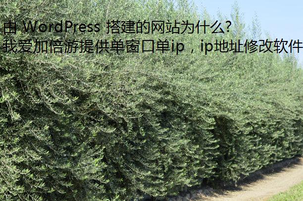 由 WordPress 搭建的网站为什么打不开？有什么解决方法？