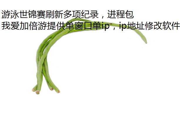 游泳世锦赛刷新多项纪录，进程包机我爱加倍游让你更流畅观赛！