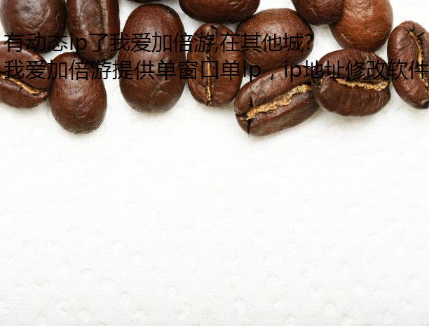 有动态ip了我爱加倍游,在其他城市也能使用驻马店静态网络!