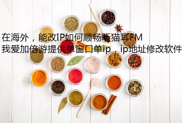 在海外，能改IP如何顺畅听猫耳FM的音频？