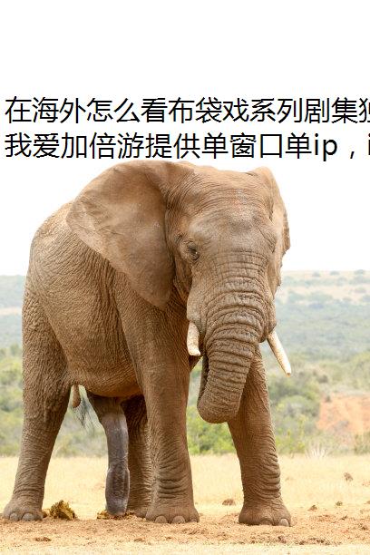 在海外怎么看布袋戏系列剧集独享ip?