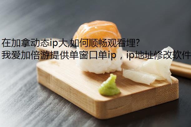在加拿动态ip大,如何顺畅观看埋堆堆粤语原声港剧?